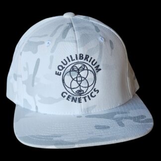 Equilibrium Genetics Hat (Alpine Camo)